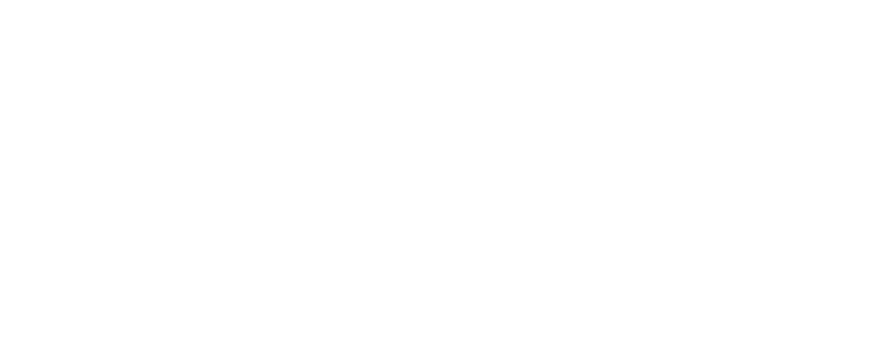 soft study logo